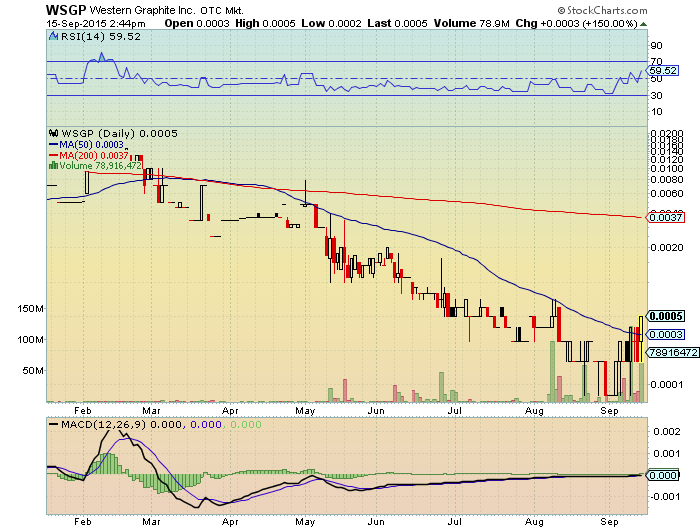 WSGP 0005 72.4%+ startet mit großen blöcken 858056