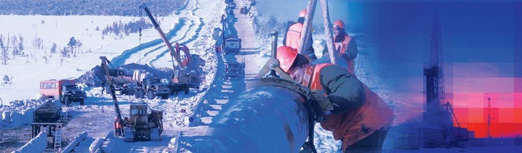  Report for the financial year 31316