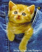 740.DAX Tipp-Spiel, Montag, 10.03.08 153604