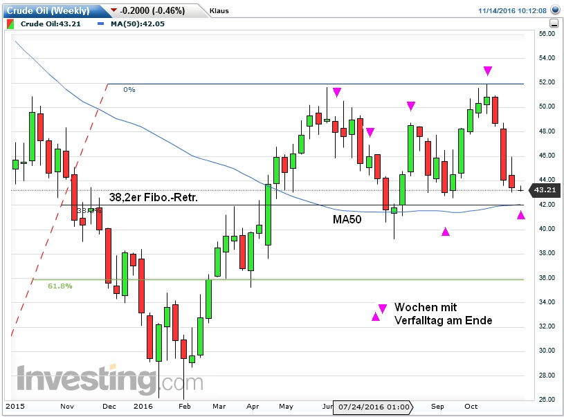 Der USA Bären-Thread 952244