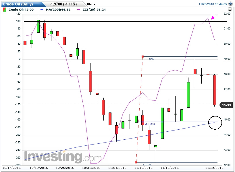 Der USA Bären-Thread 954747