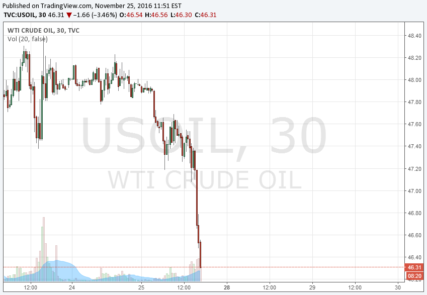 Der USA Bären-Thread 954708