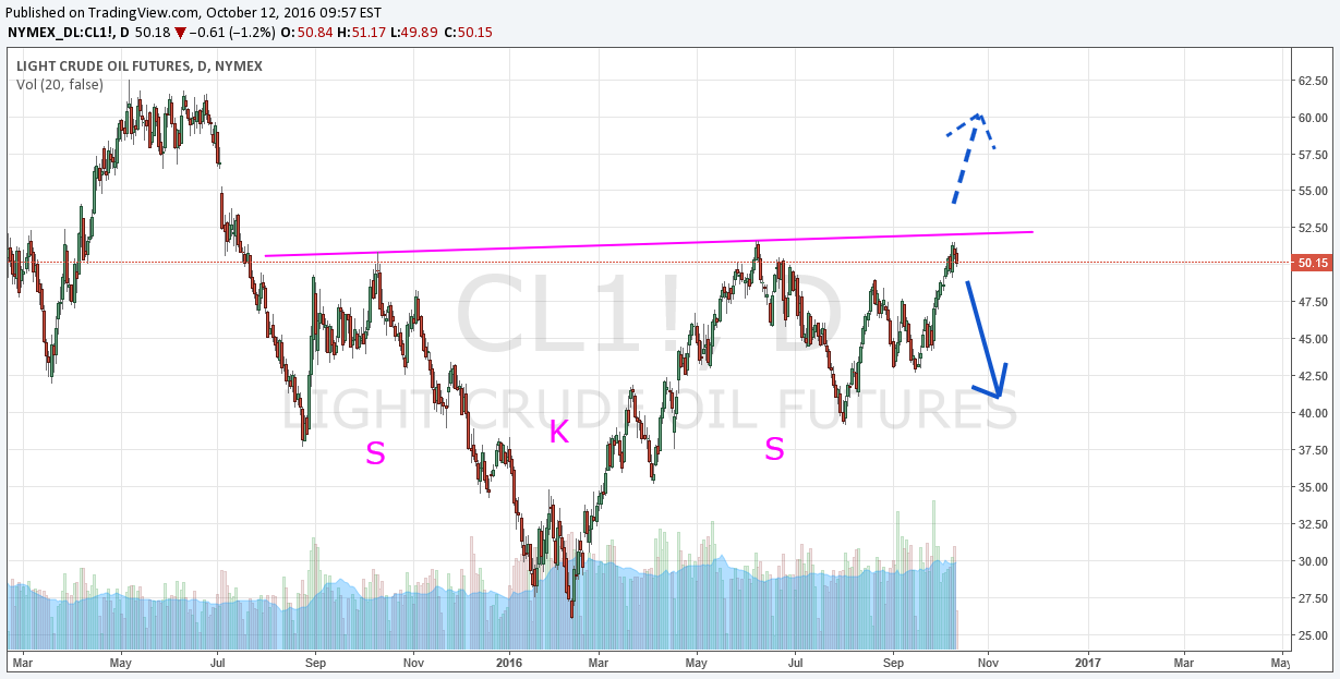 Der USA Bären-Thread 945026