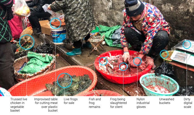 Der USA Bären-Thread 1156414