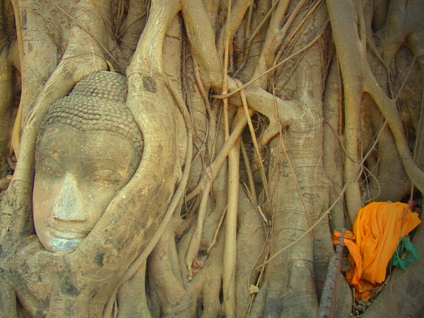 770.DAX Tipp-Spiel, Mittwoch, 23.04.08 160818