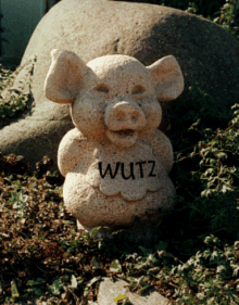 ► TTT-Team / Mittwoch, 28.12.2005 23942
