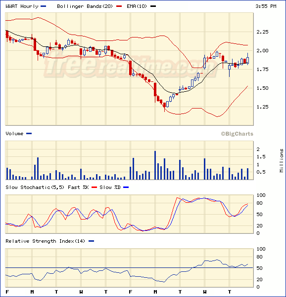 ein ökologischer Pennywert mit rasantem Wachstum 113781
