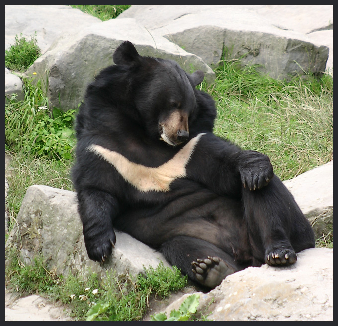 234.DAX Tipp-Spiel, Freitag, 10.3.06, 17.45 Uhr, 32582