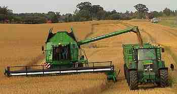 Tonkens Agrar Aktie 337905