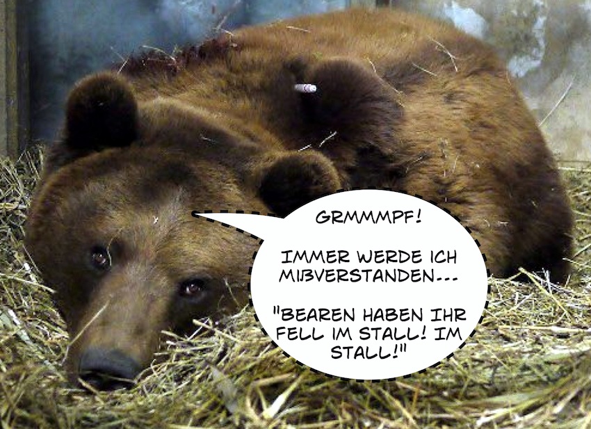 QV ultimate 2012 556593