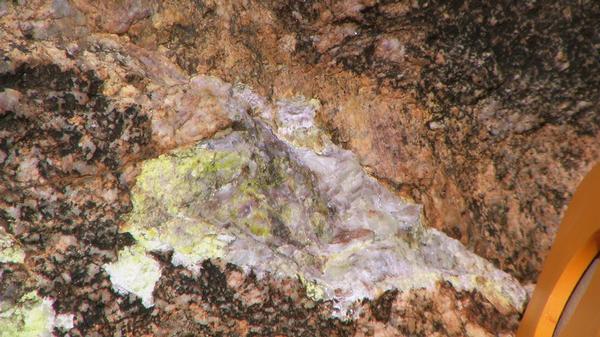 forsys neue Kursrakete ? 142331