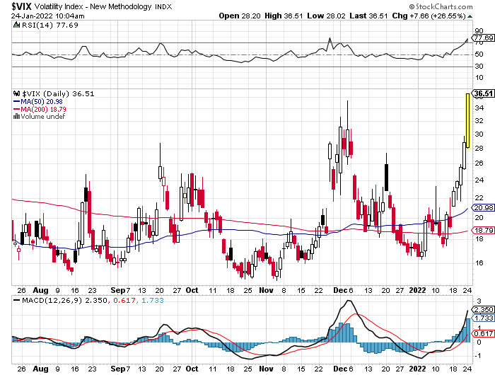 Der USA Bären-Thread 1295667
