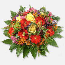 Evergreen Solar - Interessantes Unternehmen 82611