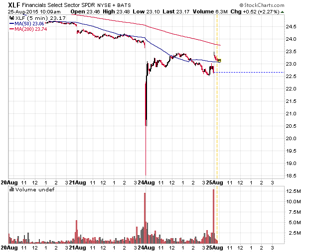 Der USA Bären-Thread 852463