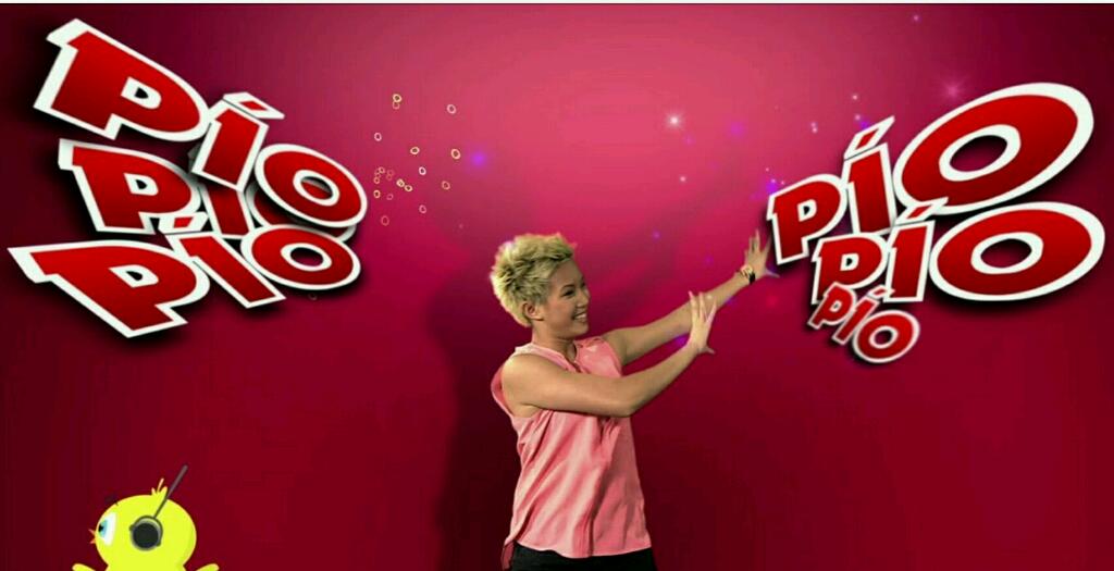 PIONEER RES 20m at 4.08g/t Au 931381