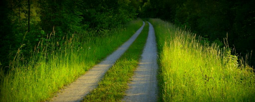 vor ausbruch? 941319