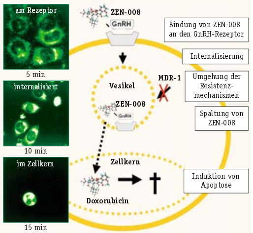 AEZS vs. KERX 971835