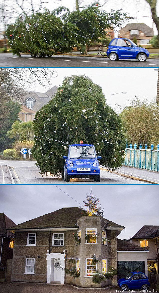 Quo Vadis Dax 2010 - Das Original 366137