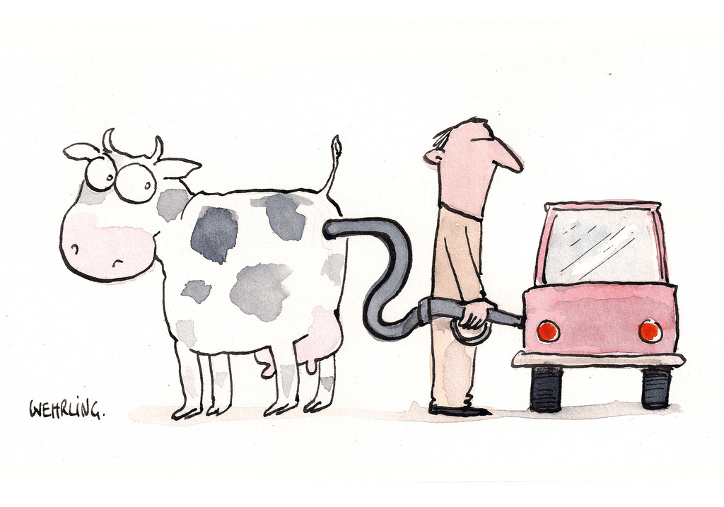 RWE/Eon - sell out beendet? 668725