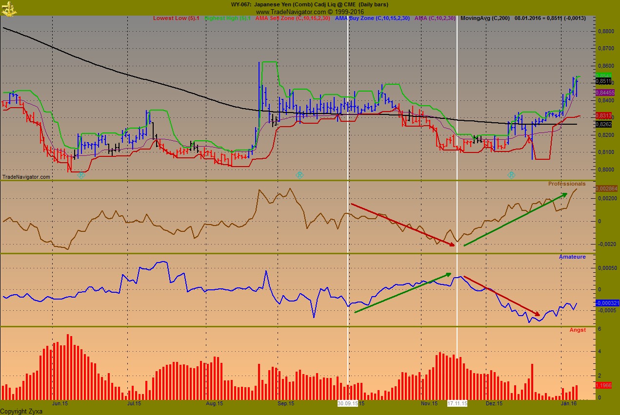 Endlich erfolgreiches Trading mit Rohstoffen 884174