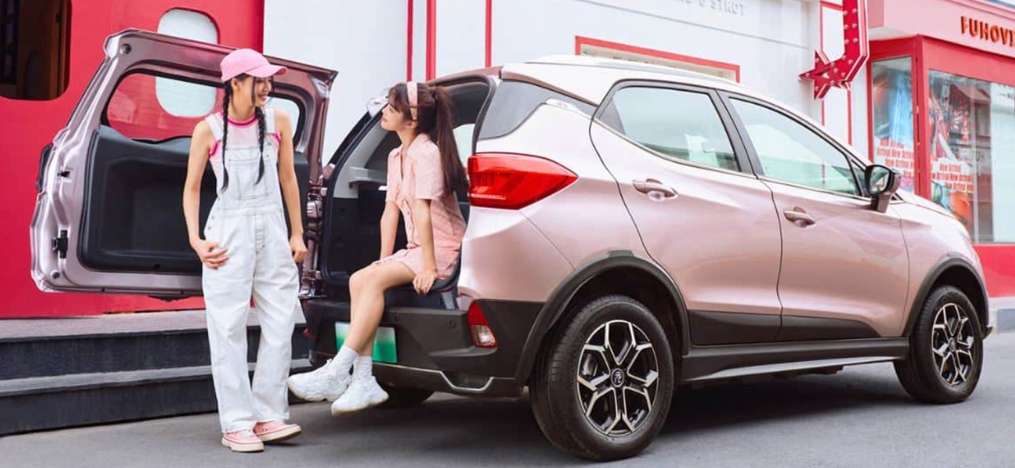 Auto- und Batterien-Herstellers BYD 1366510