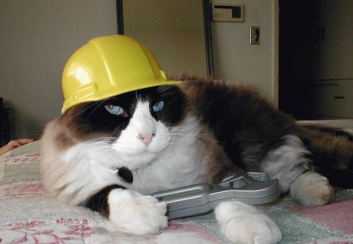 702.DAX Tipp-Spiel, Mittwoch, 16.01.08 142049