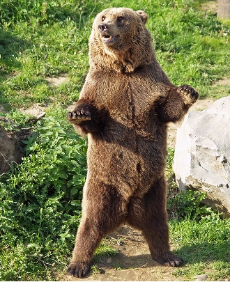 E.on SE - Chance oder Risiko 641170