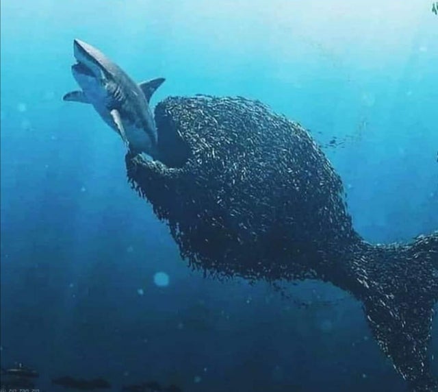 Die besten Gold-/Silberminen auf der Welt 1230347