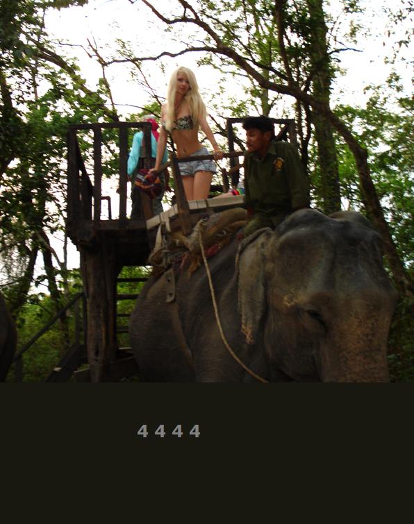 895.DAX Tipp-Spiel *Do* 16.10.08, 17.45 Uhr 193002