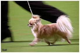 QV ultimate 2012 542829