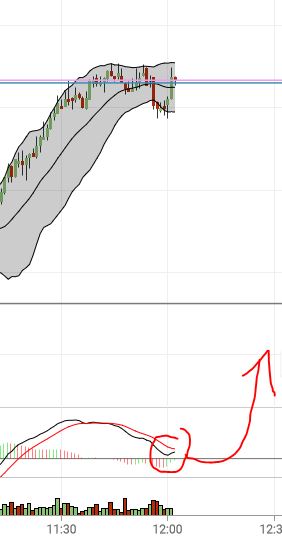 Börse ein Haifischbecken: Trade was du siehst 1211468