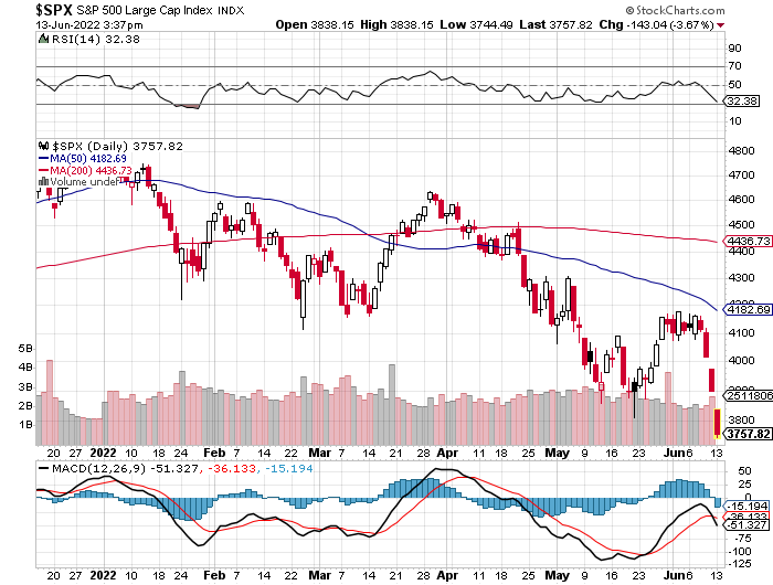 Der USA Bären-Thread 1319181