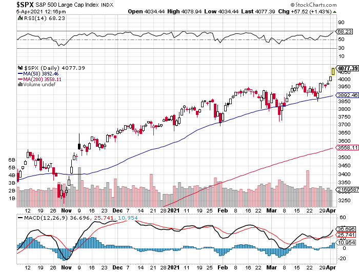 Der USA Bären-Thread 1244584