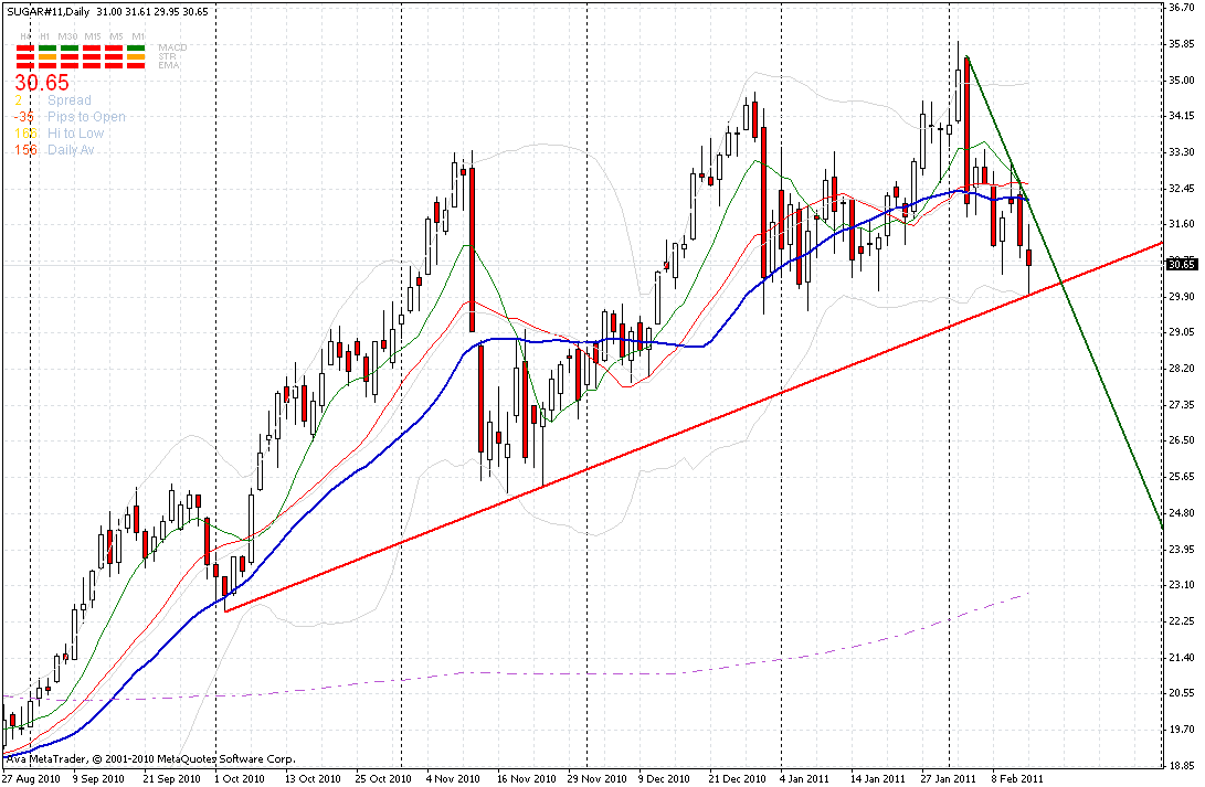 Die Zuckerhausse kommt 380836