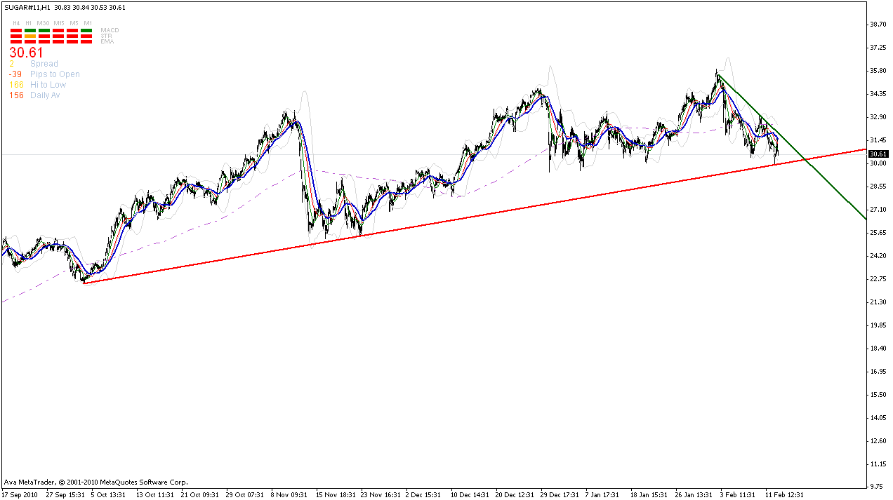 Die Zuckerhausse kommt 380844