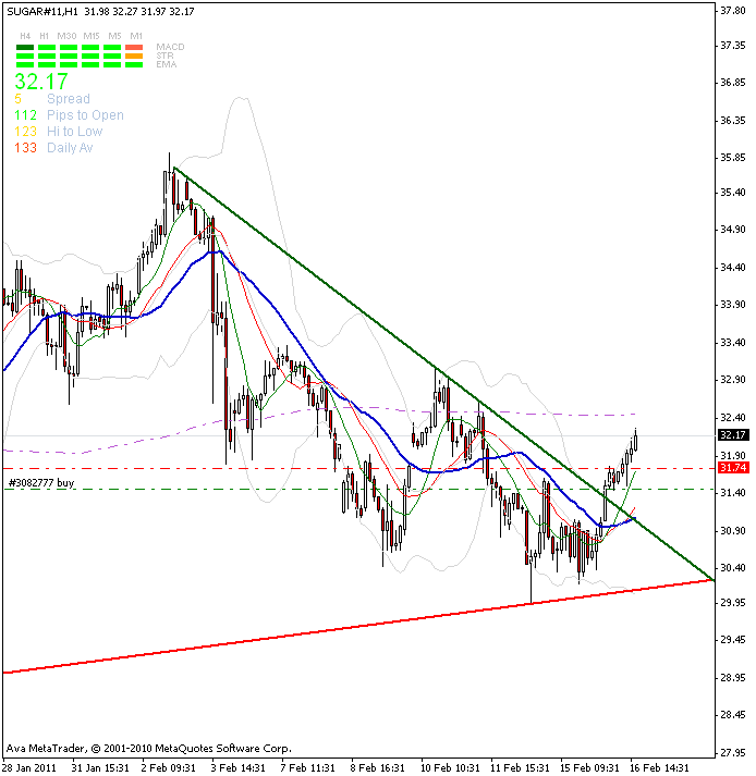 Die Zuckerhausse kommt 381319