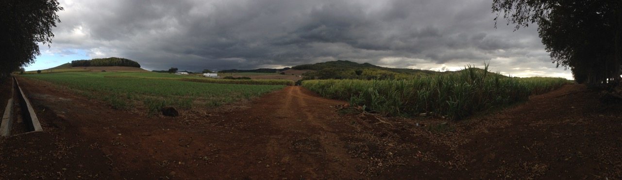 Endlich erfolgreiches Trading mit Rohstoffen 889896