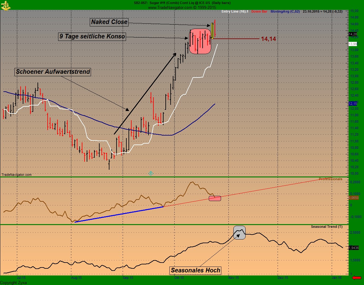 Die Zuckerhausse kommt 866900