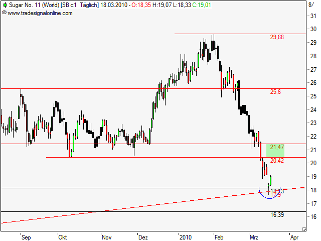 Die Zuckerhausse kommt 307690
