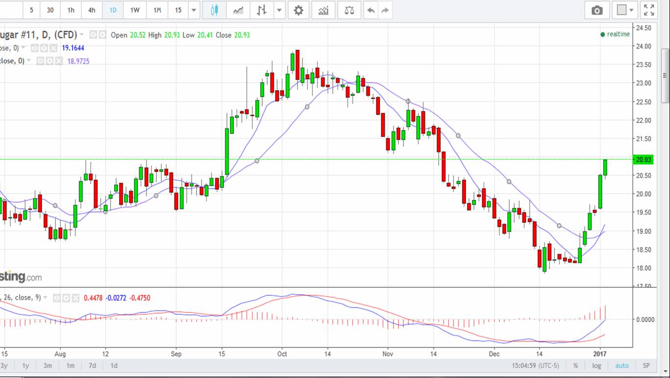 Die Zuckerhausse kommt 962249