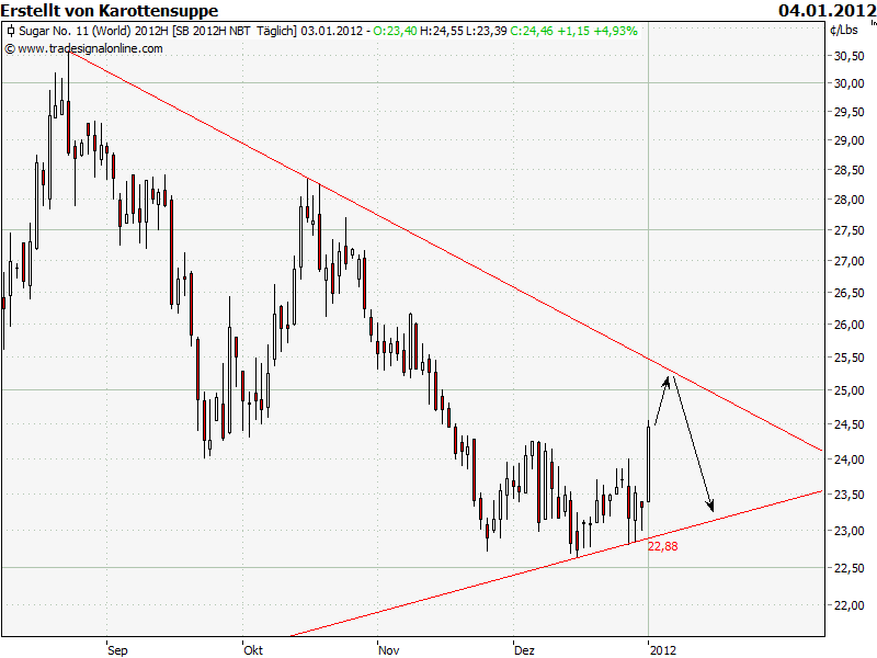 Die Zuckerhausse kommt 473422