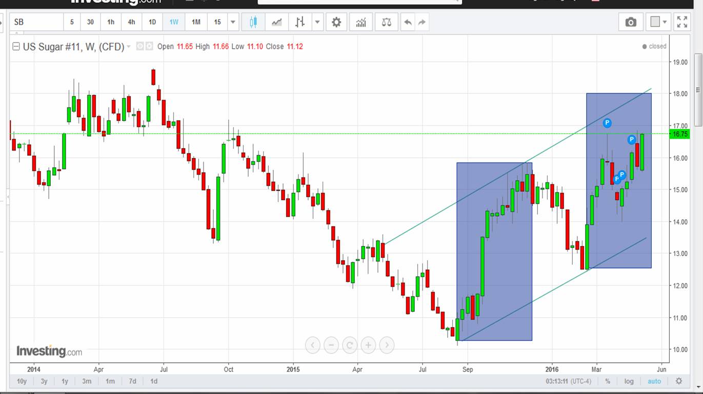 Die Zuckerhausse kommt 913453