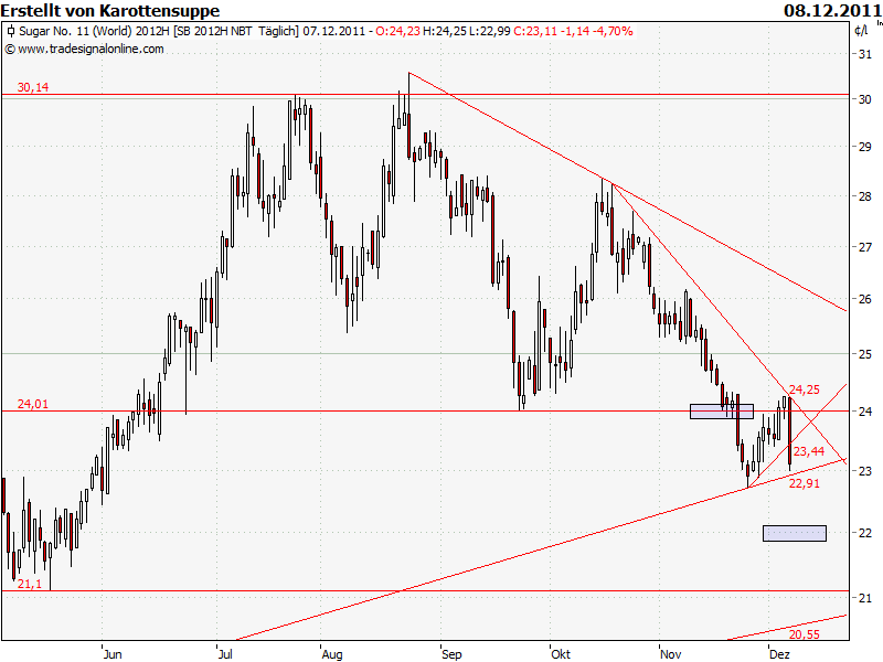 Die Zuckerhausse kommt 465416