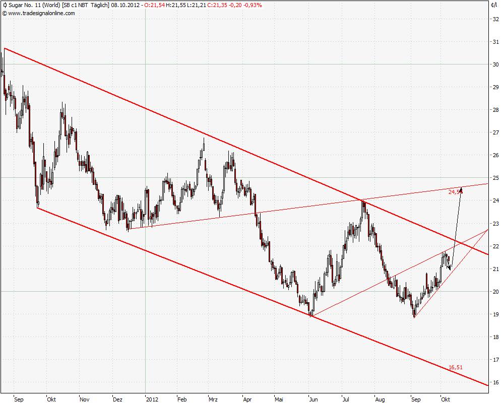 Die Zuckerhausse kommt 543275