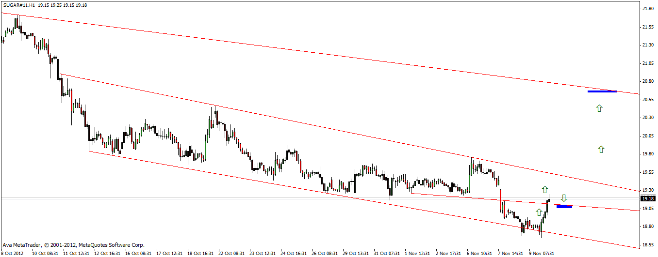 Die Zuckerhausse kommt 552127
