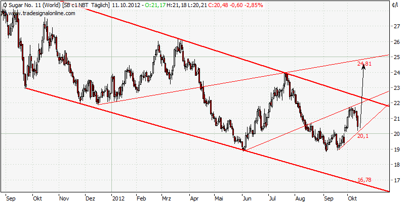 Die Zuckerhausse kommt 544298