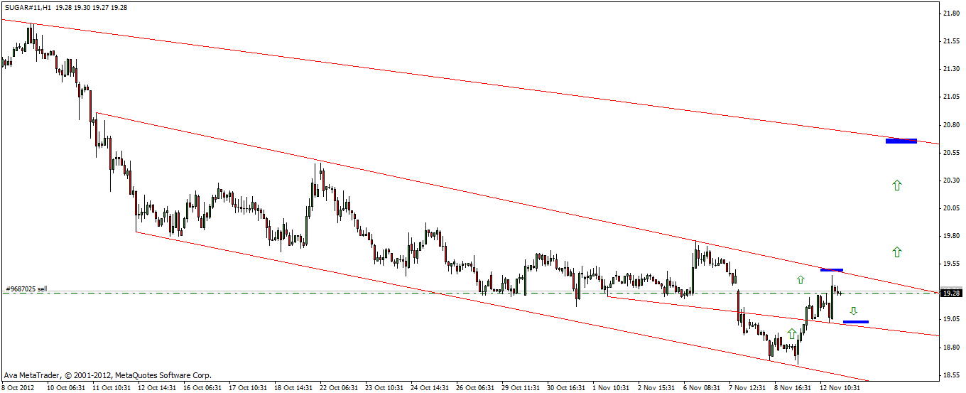 Die Zuckerhausse kommt 552663