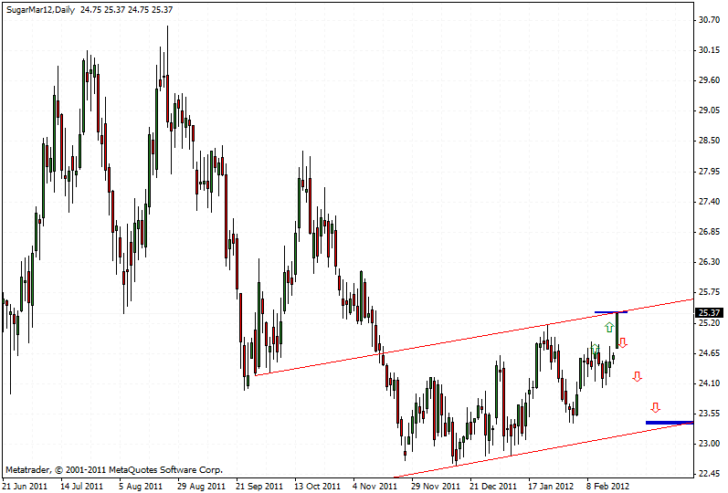 Die Zuckerhausse kommt 487561