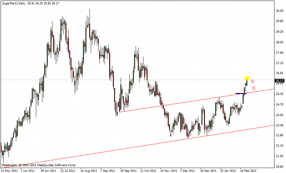 Die Zuckerhausse kommt 488762