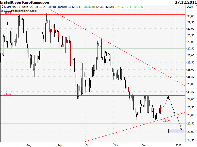 Die Zuckerhausse kommt 471461